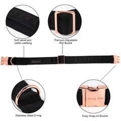 Collar ARING PET con hebilla y anilla D alta durabilidad