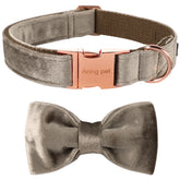Aring Pet collar con moño desmontable en terciopelo, ideal para sesiones de fotos.