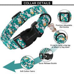 Aring Pet collar para perros, anilla en D para placa y correa