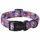Collar Aring Pet para perro con impresión de calabaza y murciélagos, ideal para salidas y fotos.