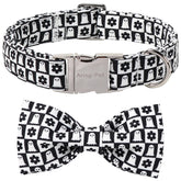 Collar Aring Pet para perro con ajuste y lazo, ideal para salidas.