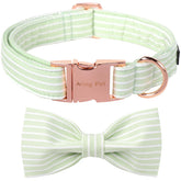 Collar Aring pet con lazo verde ajustable para paseos diarios.
