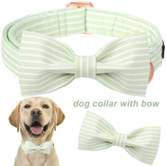 Collar Aring pet con lazo verde y rayas, ideal para sesiones de fotos.