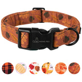 Collar ARING PET para perro pequeno en naranja otoñal, cómodo y suave.
