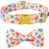 Collar Aring Pet para perro con lazo corazón, ideal para sesiones de San Valentín