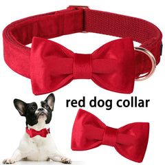 Collar Aring Pet en terciopelo suave para comodidad diaria.
