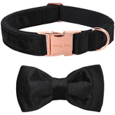 Collar ARING PET con terciopelo y pajarita removible para ocasiones especiales