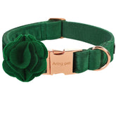 Aring Pet collar veludo verde oscuro, suave para paseos diarios.