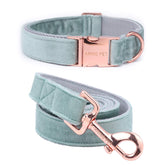 Aring pet collar de terciopelo dentro de caja regalo, presentación elegante para regalo