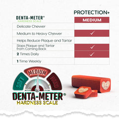 ARK NATURALS Protección Plus – centro de pasta dental para cepillado sin cepillo.