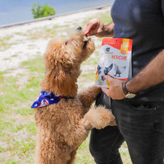 ARK NATURALS Rescate articular para perros, presentación de 9 onzas para uso diario