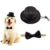 Gorro festivo Arogheiz para mascotas, ideal para fiestas y fotos divertidas.