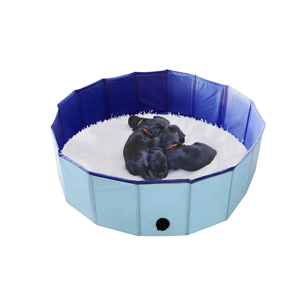 Artilife Whelping Box piscina azul para perros, ideal para parto y juego.