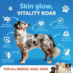 Artullano Aceite de Salmón para perros, detalle botella, calidad premium para salud general.