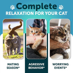 Artullano para gatos ante ansiedad por tormentas, promueve tranquilidad durante ruidos fuertes.
