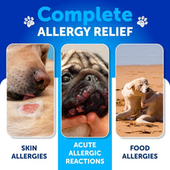 Artullano bocaditos suaves: textura agradable para perros con alergias