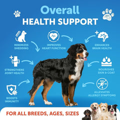 Artullano Omega 3 para perros, líquido de alto EPA y DHA para movilidad.