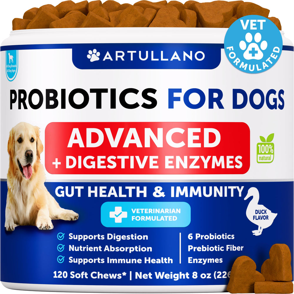 Artullano Probióticos para perros, enfoque digestivo, apoyo a la digestión y confort estomacal.