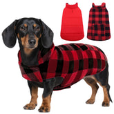 ASENKU abrigo de invierno para perro, vista frontal, mantiene cálido al perro