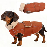 ASENKU abrigo para perros cálido y exterior resistente para salir a pasear.