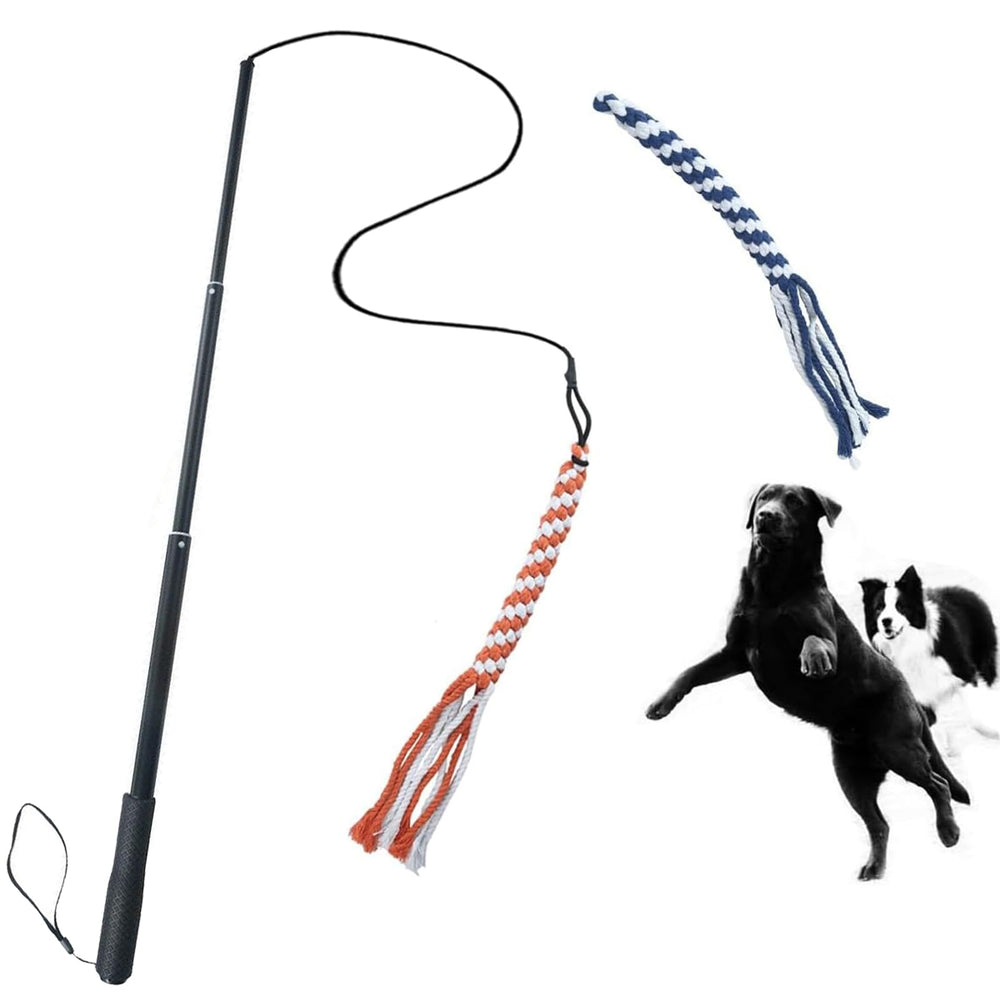 Varita interactiva extensible ASOCEA para juego al aire libre