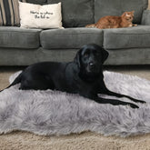 Asrug Alfombra de pelo artificial para mascotas, suave y lujosa para el salón.