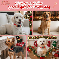 Astdogio collar navideño con ajuste de tallas para un ajuste cómodo.