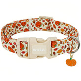 Collar Astdogio otoñal con calabazas, hojas y hongos, ideal para paseos de temporada.