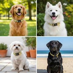 Collar Astdogio de algodón suave que abraza el cuello durante juegos.