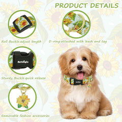 Collar Astdogio con anilla en D y ajuste deslizante para seguridad.