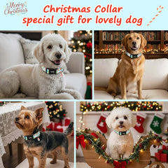 Collar Astdogio con patrón Santa, aporta estilo navideño en cada paseo.