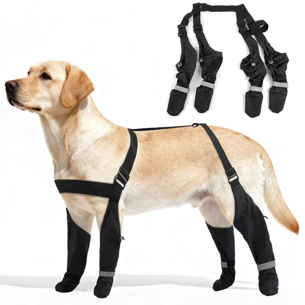 AuraPaw botas exteriores para perro con ajuste seguro para paseos sin perderlas.