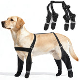 AuraPaw botas exteriores para perro con ajuste seguro para paseos sin perderlas.