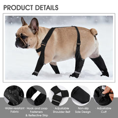 AuraPaw protección contra lluvia y nieve para paseos al aire libre.