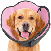 AuraPaw cono-perro-soft-rosado-tras-cirugia ofrece comodidad durante la recuperación.