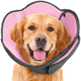 AuraPaw cono suave para recuperación tras cirugía en perros.