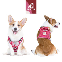 Arnés AUROTH de perro resistente con durabilidad y confort para paseos.