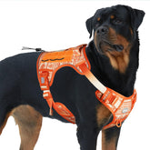 AUROTH arnés para perro frontal, control suave durante paseos