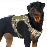 AUROTH arnés para perro grande sin tirón, control durante paseos