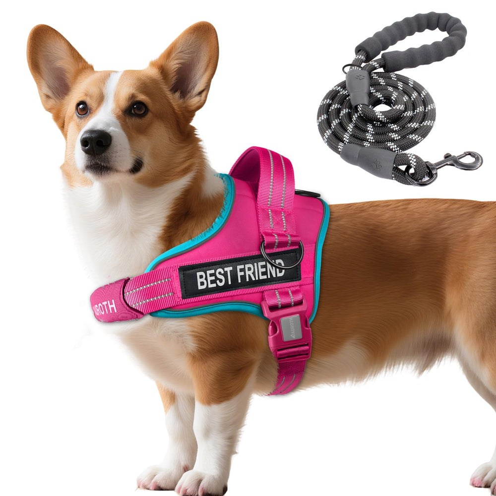 AUROTH Arnés para perros sin tirones con ajuste preciso para paseos diarios.