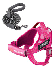 Arnés AUROTH sin tirones para perros, cómodo y estable para paseos.
