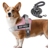 AUROTH arnés para perro sin tirones con control cómodo.