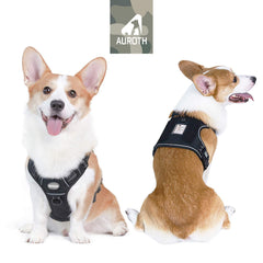 Arnés AUROTH con sistema MOLLE, vista lateral para accesorios.