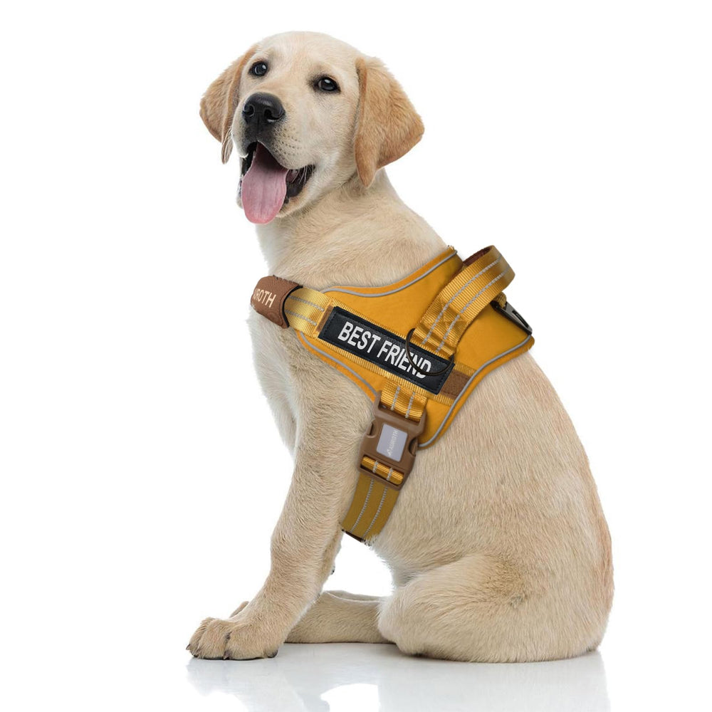 AUROTH Arnes para perros ponérselo fácilmente, salidas diarias