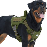 AUROTH arnés táctico para perro grande con clip frontal sin tirones, útil para paseos y entrenamiento.