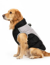 AURUZA abrigo para perro inviernos con arnés integrado para paseos