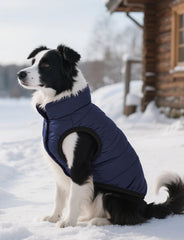 Chaqueta AURUZA para perro con cierre en espalda, fácil de vestir.