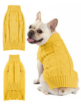 AURUZA sudadera para perro, vista frontal, abriga durante el paseo