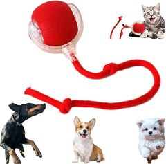 AUTRETY bola interactiva para perros en acción, giro de 360 grados para fomentar la actividad.