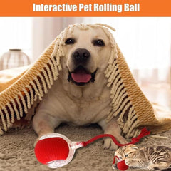 AUTRETY bola rodante para perros, anima a perseguirla